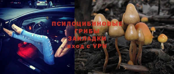 PSILOCYBIN Волоколамск