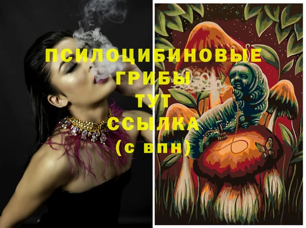 дживик Вяземский